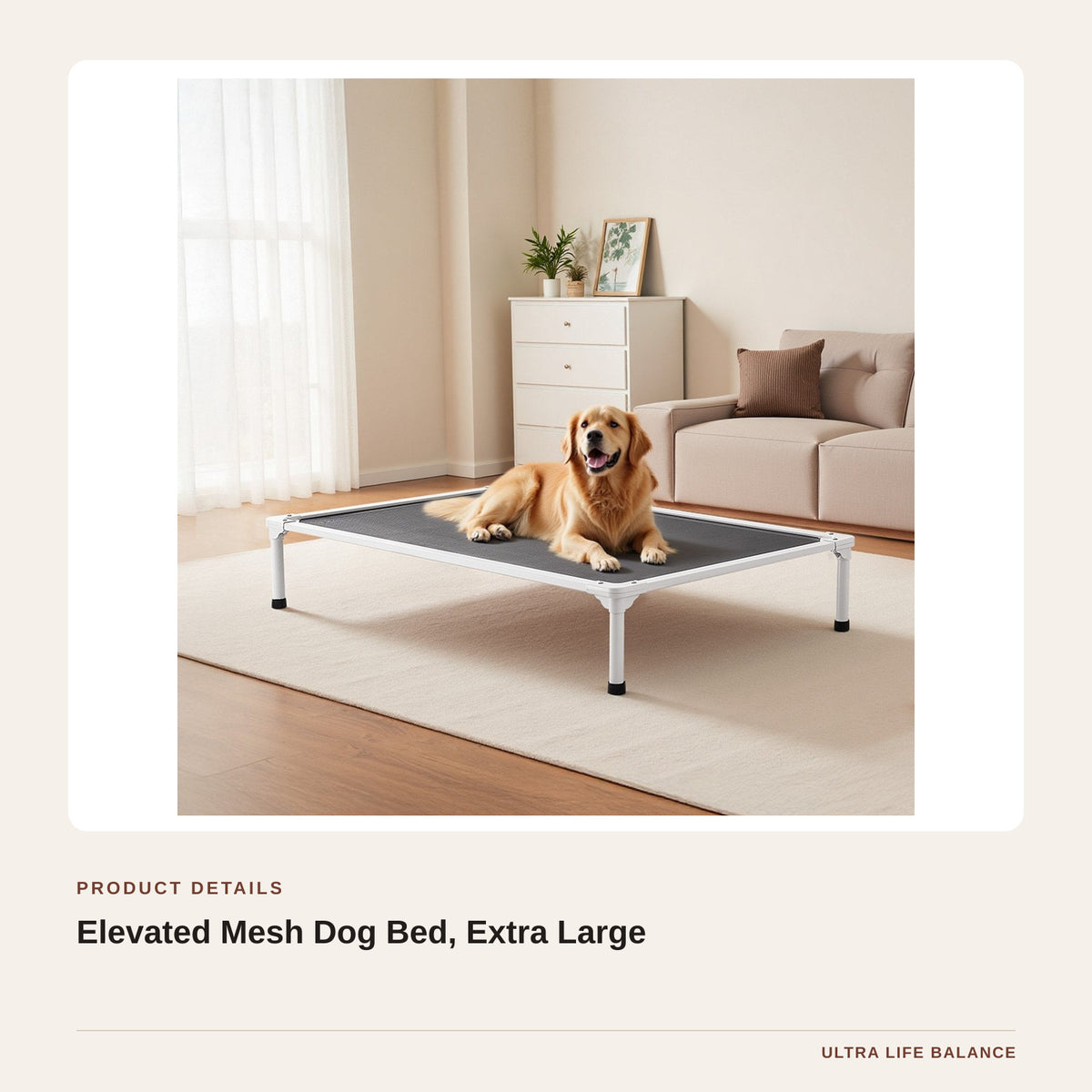 Elevated Mesh Dog Bed, Extra Large product detail