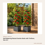 Self-Watering Raised Garden Beds with Trellises, Set of 2 product detail