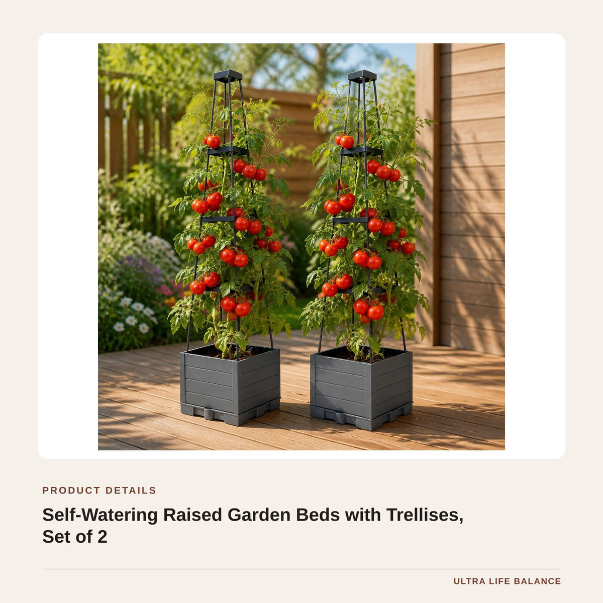 Self-Watering Raised Garden Beds with Trellises, Set of 2 product detail