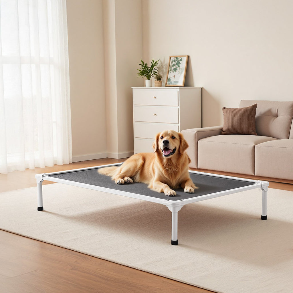 Elevated Dog Bed For Large Dog Portable Raised Dog Cot With Teslin Mesh XL — product image 1