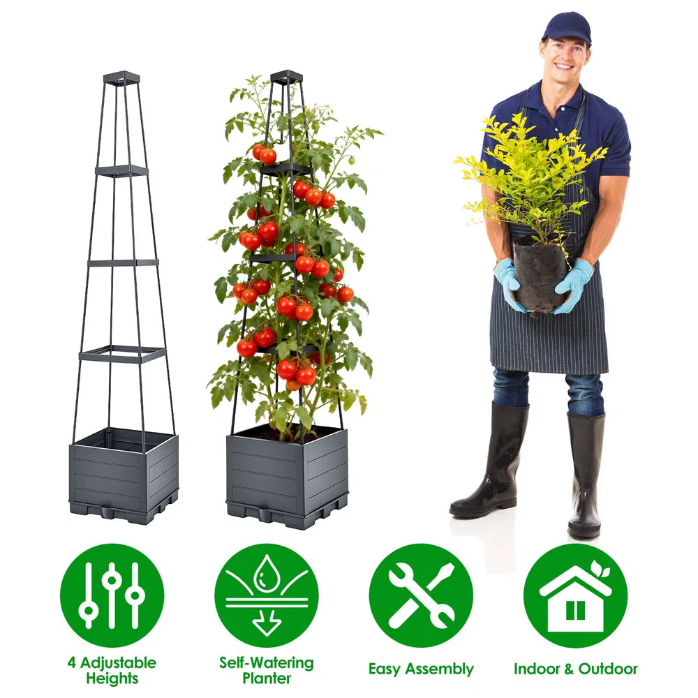2pack Raised Garden Bed Boxes with Trellis 56" Tomato Self-Watering Planter Box — product image 1