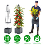 2pack Raised Garden Bed Boxes with Trellis 56" Tomato Self-Watering Planter Box — product image 1