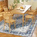 4x6 Area Rug — Vintage Washable Rug — product image 1