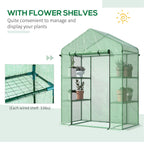 56" X 29" X 77" Walk-in Greenhouse — Garden Hot House with 3 Tier Shleves — product image 3