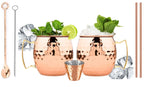 Copper Elegance 18oz Stainless Steel Moscow Mule Mug Set