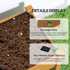 Raised Garden Bed with Pe Greenhouse Cover Outdoor Planter Box for Herbs and Vegetables — — product image 3