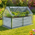 Waterproof Walk-In Greenhouse with Two Zippered Doors in a colorful realistic setting