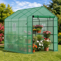 8 X 6 X 7 Temporary Greenhouse for Growing Flowers with Mesh Door & Windows Green in a colorful realistic setting